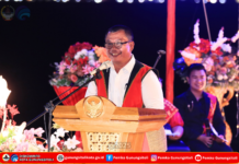 Museum Pusaka Nias Genap 30 Tahun, Wali Kota Tekankan Pentingnya Pelestarian Warisan Budaya