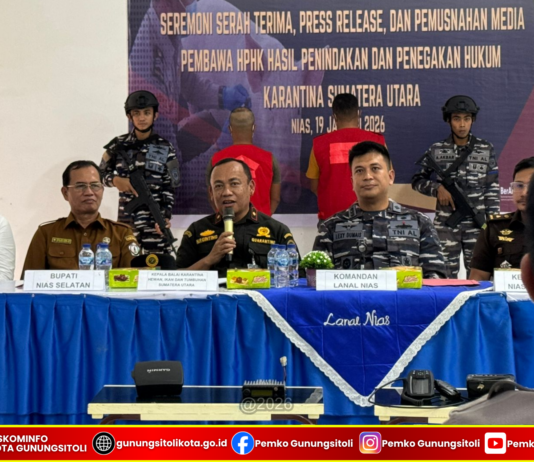 Pemko Gunungsitoli Imbau Masyarakat Patuhi Aturan Karantina Hewan, 227 Ekor Babi Ilegal Dimusnahkan