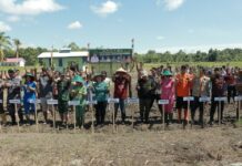 Perdana, Tanam Padi Varietes Situbagendit