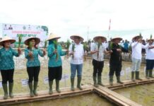 Pj. Gubernur Sumut adakan Gerakan Sumut Menanam