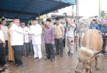 Pemerintah Kota Gunungsitoli Serahkan Hewan Qurban di Masjid Jami Al-Ikhwan Saombo