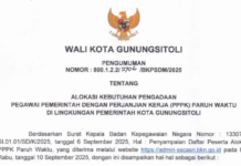 Pengumuman Alokasi Kebutuhan PPPK Paruh Waktu di Lingkup Pemko Gunungsitoli