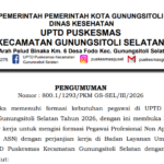 PENGUMUMAN FORMASI PEGAWAI PROFESIONAL NON APARATUR SIPIL NEGARA (NON ASN) DENGAN PERJANJIAN KERJA DI BADAN LAYANAN UMUM DAERAH (BLUD) UPTD PUSKESMAS KECAMATAN GUNUNGSITOLI SELATAN