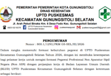 PENGUMUMAN FORMASI PEGAWAI PROFESIONAL NON APARATUR SIPIL NEGARA (NON ASN) DENGAN PERJANJIAN KERJA DI BADAN LAYANAN UMUM DAERAH (BLUD) UPTD PUSKESMAS KECAMATAN GUNUNGSITOLI SELATAN