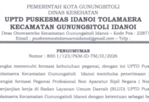 PENGUMUMAN FORMASI PEGAWAI PROFESIONAL NON APARATUR SIPIL NEGARA (NON ASN) DENGAN PERJANJIAN KERJA DI BADAN LAYANAN UMUM DAERAH (BLUD) UPTD PUSKESMAS IDANOI TOLAMAERA KECAMATAN GUNUNGSITOLI IDANOI