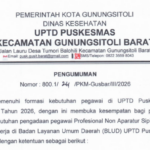 PENGUMUMAN FORMASI PEGAWAI PROFESIONAL NON APARATUR SIPIL NEGARA (NON ASN) DENGAN PERJANJIAN KERJA DI BADAN LAYANAN UMUM DAERAH (BLUD) UPTD PUSKESMAS KECAMATAN GUNUNGSITOLI BARAT