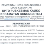 PENGUMUMAN FORMASI PEGAWAI PROFESIONAL NON APARATUR SIPIL NEGARA (NON ASN) DENGAN PERJANJIAN KERJA DI BADAN LAYANAN UMUM DAERAH (BLUD) UPTD PUSKESMAS KAUKO KECAMATAN GUNUNGSITOLI